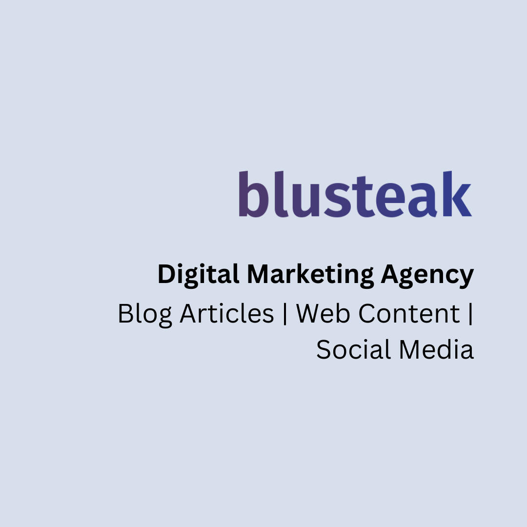 Blusteak Portfolio Header